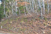 高山市荘川町新渕字野　　販売価格￥120万円