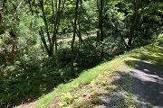 高山市荘川町新渕字上洞　販売価格￥44.31万円