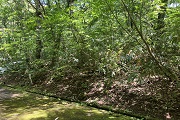 高山市荘川町町屋字西三洞販売価格￥26万円