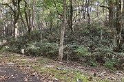 高山市荘川町町屋字西三洞販売価格￥41.4万円