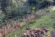 高山市荘川町新渕字上洞　販売価格￥50.82万円